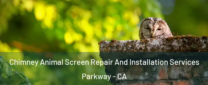  Chimney Animal Screen Repair And Installation Services Parkway - CA