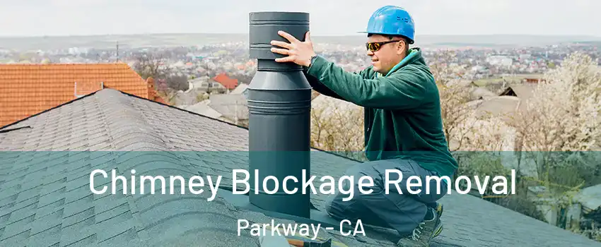  Chimney Blockage Removal Parkway - CA