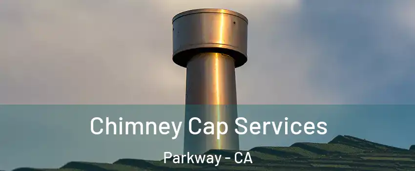  Chimney Cap Services Parkway - CA