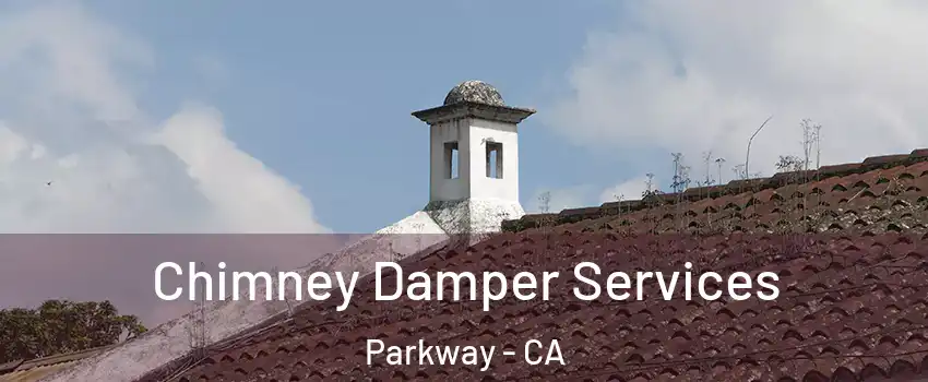  Chimney Damper Services Parkway - CA