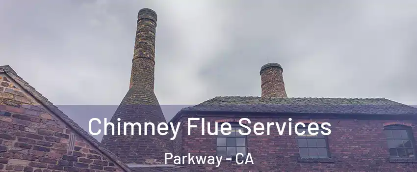  Chimney Flue Services Parkway - CA