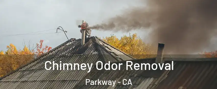  Chimney Odor Removal Parkway - CA