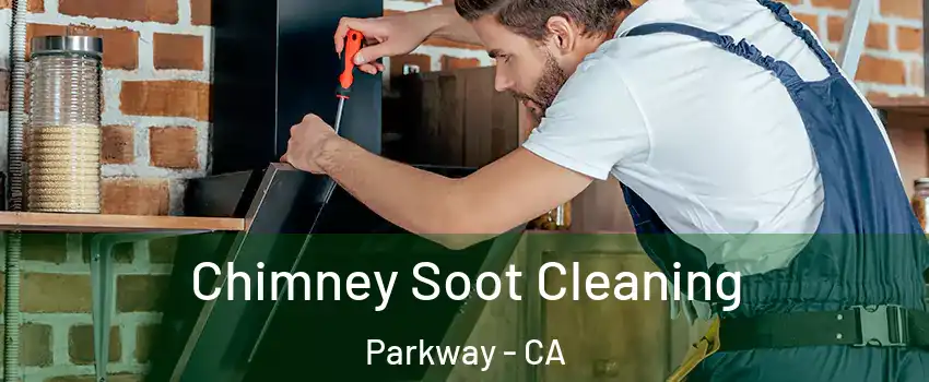  Chimney Soot Cleaning Parkway - CA
