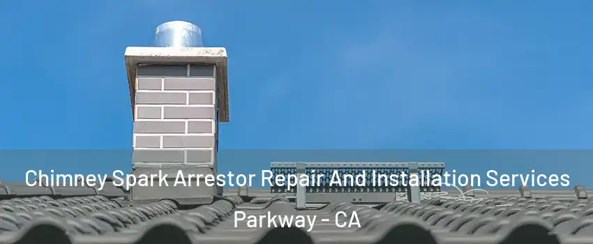  Chimney Spark Arrestor Repair And Installation Services Parkway - CA