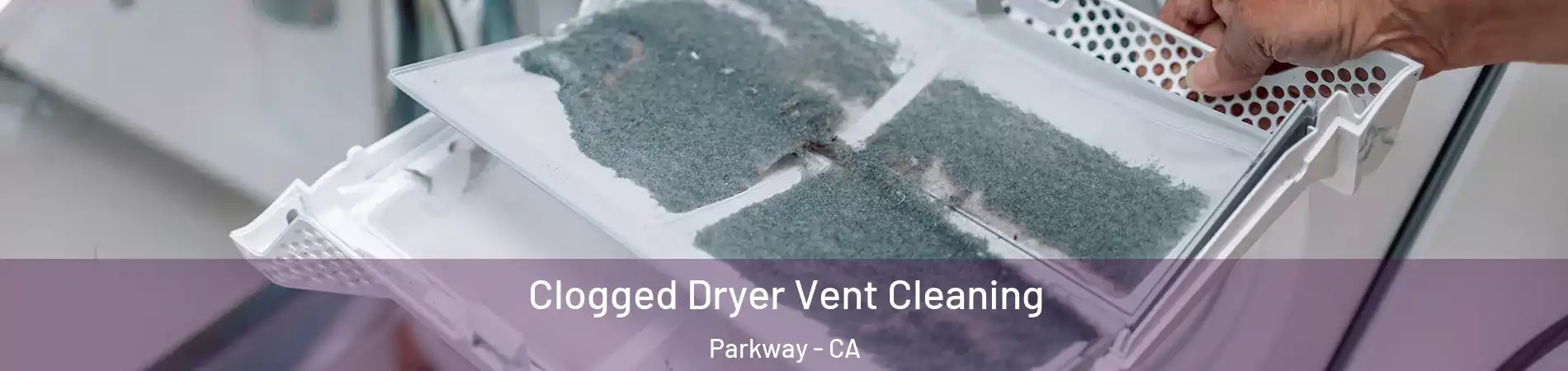  Clogged Dryer Vent Cleaning Parkway - CA