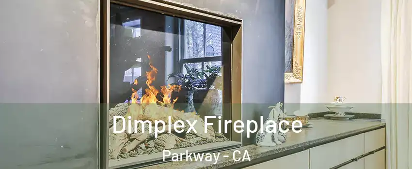  Dimplex Fireplace Parkway - CA