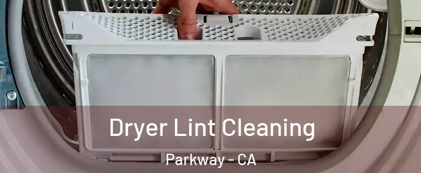  Dryer Lint Cleaning Parkway - CA