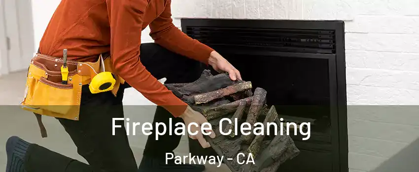  Fireplace Cleaning Parkway - CA