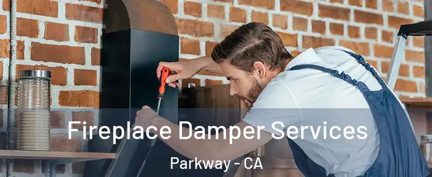  Fireplace Damper Services Parkway - CA