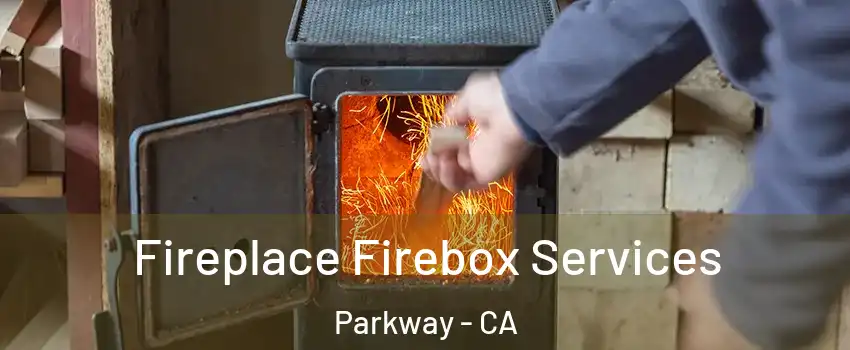  Fireplace Firebox Services Parkway - CA