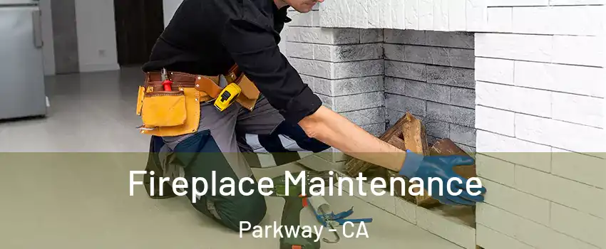  Fireplace Maintenance Parkway - CA