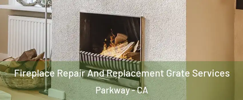  Fireplace Repair And Replacement Grate Services Parkway - CA