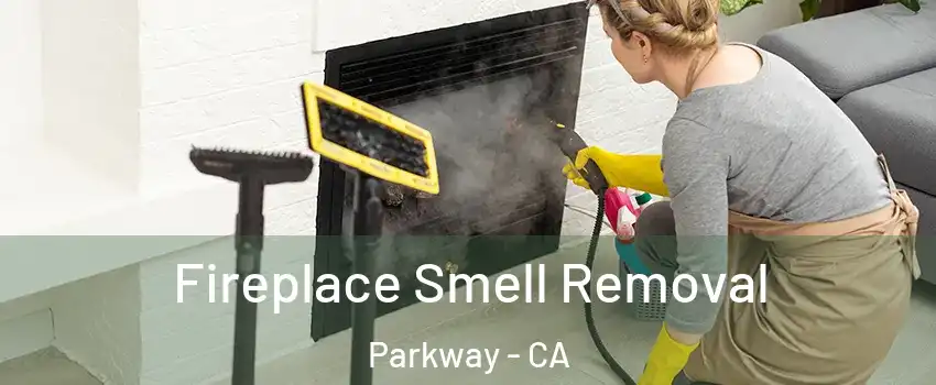  Fireplace Smell Removal Parkway - CA