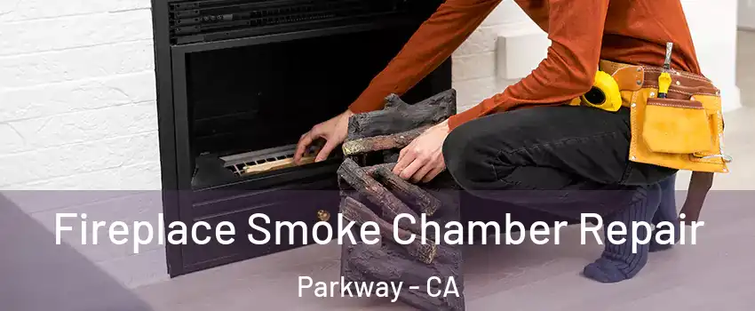 Fireplace Smoke Chamber Repair Parkway - CA