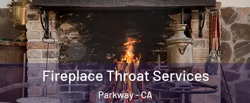  Fireplace Throat Services Parkway - CA
