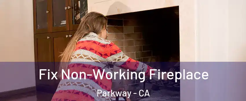  Fix Non-Working Fireplace Parkway - CA