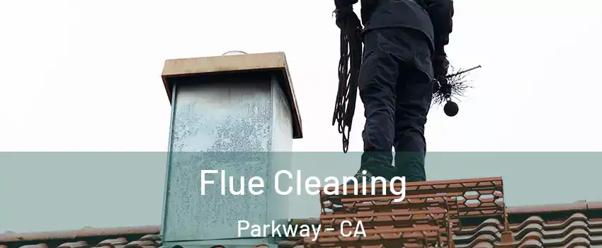  Flue Cleaning Parkway - CA