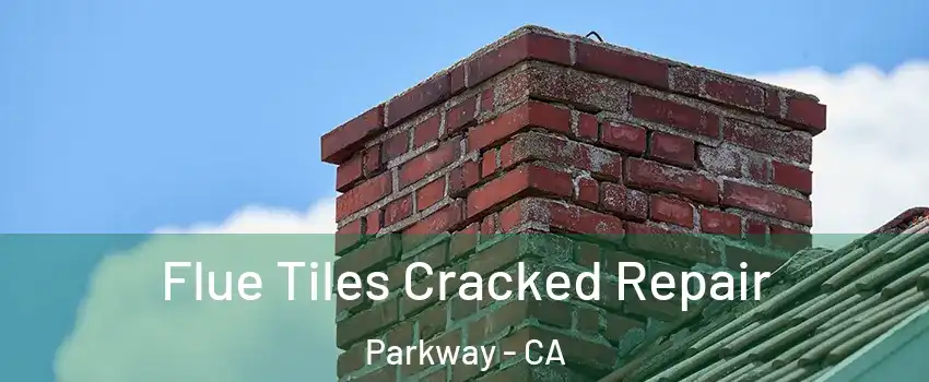  Flue Tiles Cracked Repair Parkway - CA
