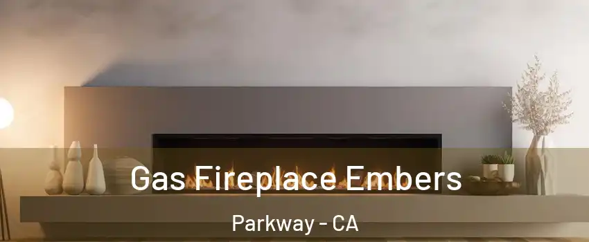  Gas Fireplace Embers Parkway - CA