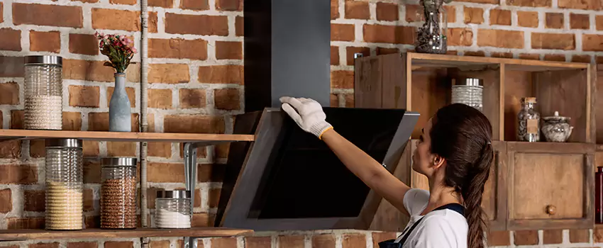 Chimney Installation in Parkway, CA
