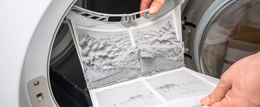 Best Dryer Lint Removal Company in Parkway, California