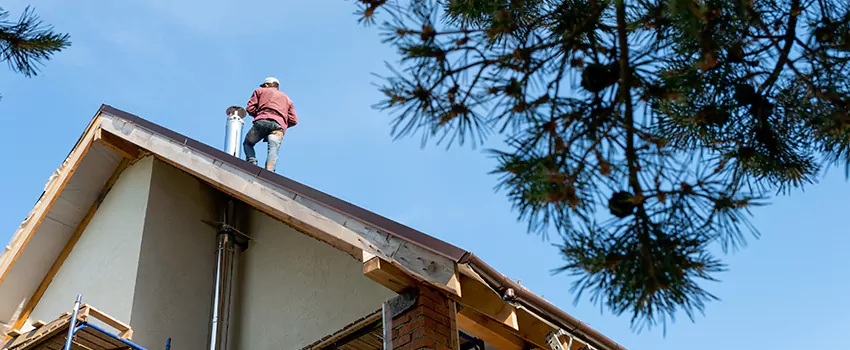 Birds Removal Contractors from Chimney in Parkway, CA