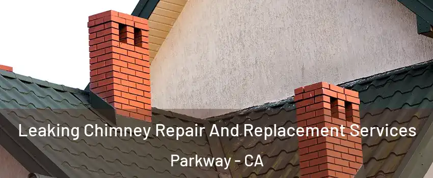  Leaking Chimney Repair And Replacement Services Parkway - CA