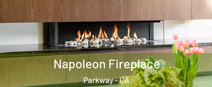  Napoleon Fireplace Parkway - CA