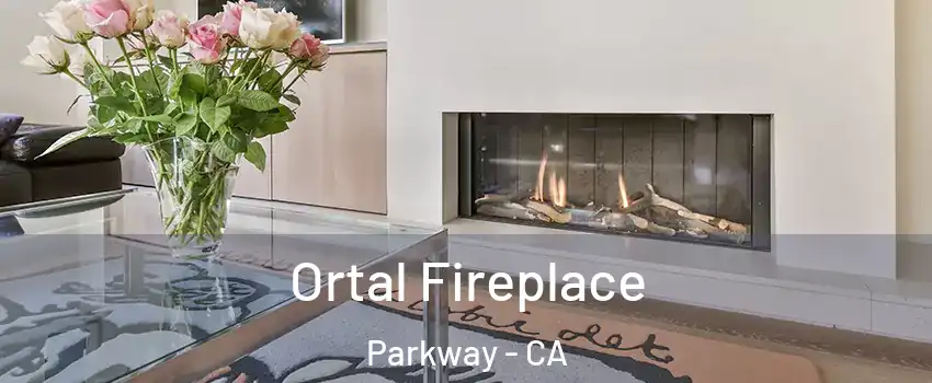  Ortal Fireplace Parkway - CA